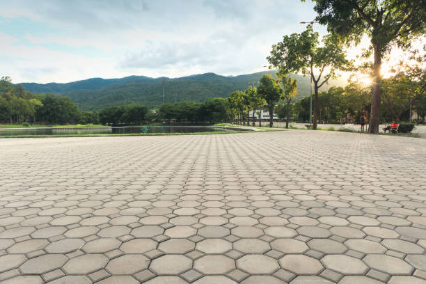 Best Driveway Paving Contractor  in Des C, AR
